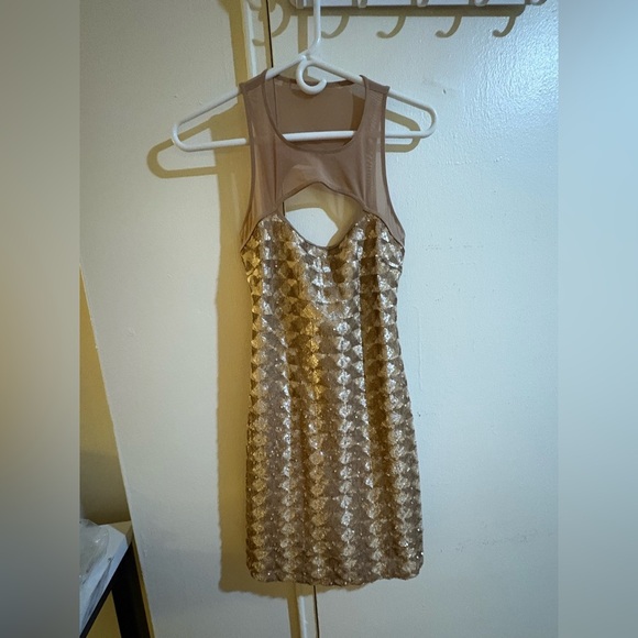 Elegant Sequin Dress in Gold and Pink - Picture 5 of 7